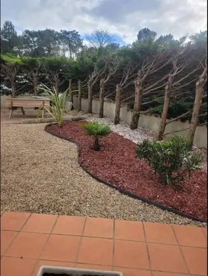 Jardin de l'établissement Maison familiale entre pinède et plage 6 PERS