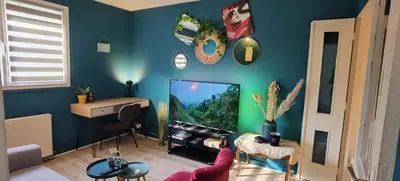 Télévision ou salle de divertissement dans l'établissement Charmant T2 proche Château, Gare, UCO, Parking privé gratuit