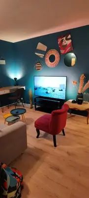 Télévision ou salle de divertissement dans l'établissement Charmant T2 proche Château, Gare, UCO, Parking privé gratuit