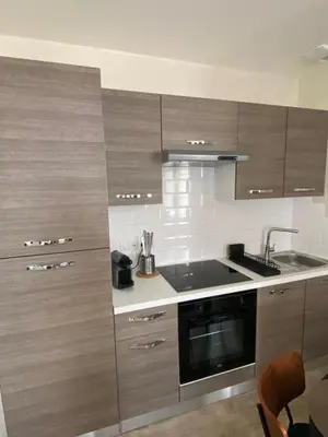 Cuisine ou kitchenette dans l'établissement Myaka Appartement Wood