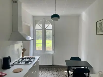 Cuisine ou kitchenette dans l'établissement Appartement à Clisson