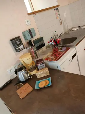 Cuisine ou kitchenette dans l'établissement Terre et Eau La chambre d'hôtes du jardinier Sèvremont