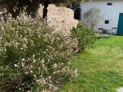 Jardin de l'établissement Chambre d'Hôtes Les Petits Oiseaux