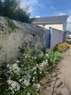 Jardin de l'établissement Chambre d'Hôtes Les Petits Oiseaux