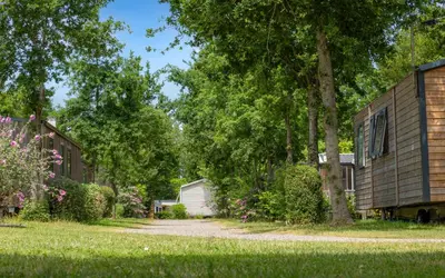 Jardin de l'établissement Camping Aubigny-Les Clouzeaux